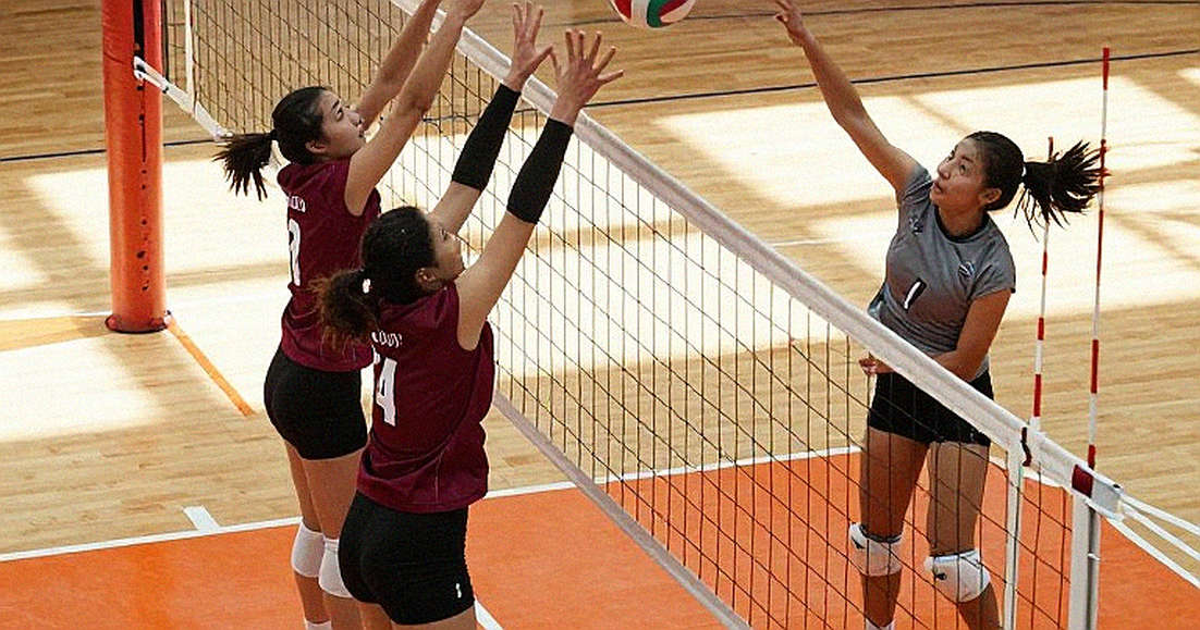 Ba giây Terzić rời băng ghế: Khi chấn thương của một HLV đổi chiều tấm huy chương