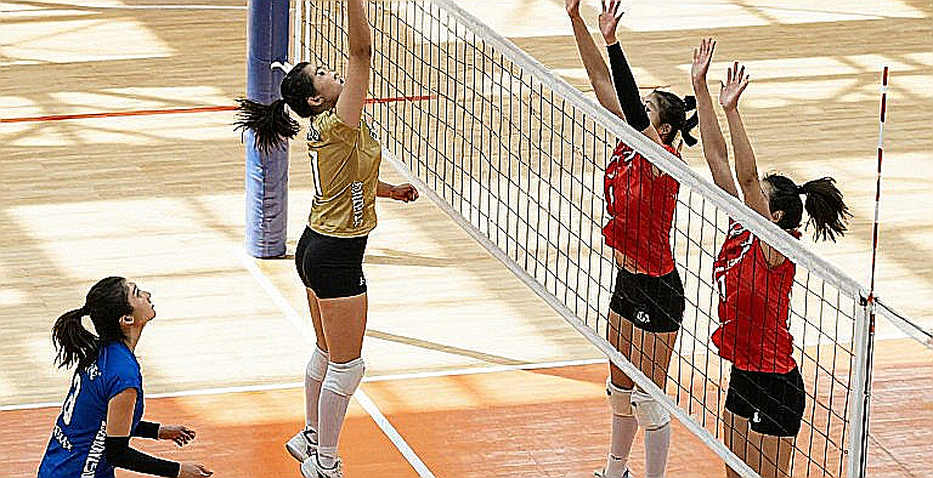 Bảng phân tích trống: khi người viết bóng chuyền phải học cách nói 'không đủ dữ liệu'